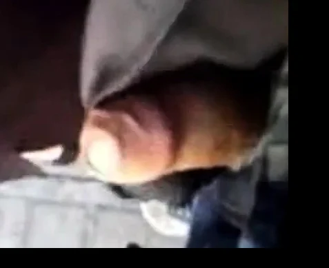 BUS 04 PARADA(100%)