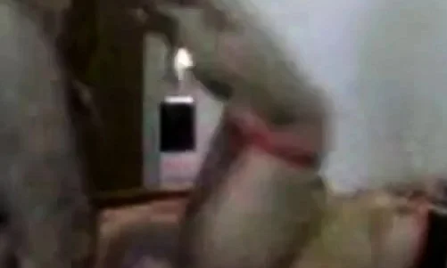 HOMEMADE ARABIC COUPLE SEX--HIDDEN CAM