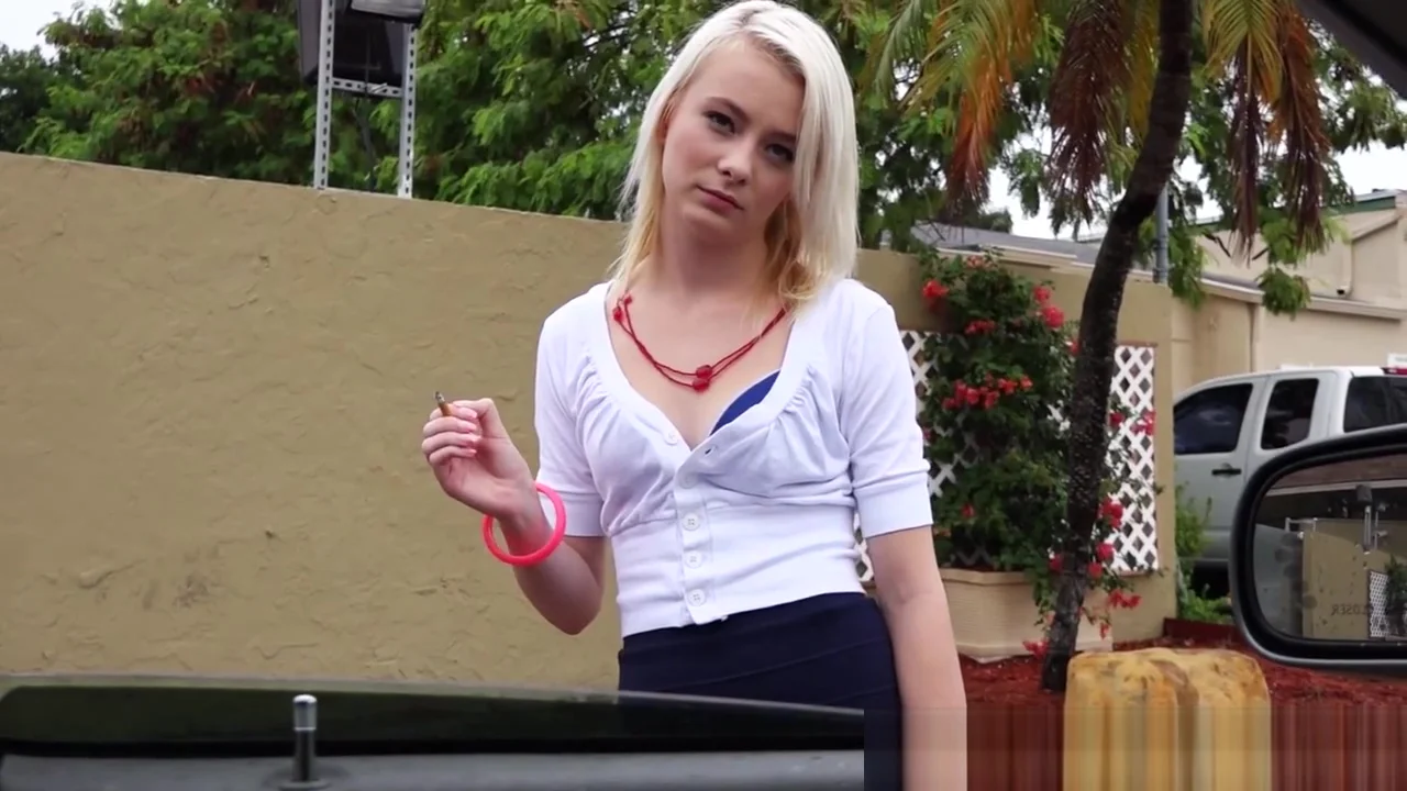 Pickedup hitchhiking teen 18+ fucked in a car