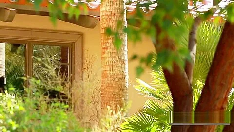 Swinger couples visit different premises of the mansion to meet other couples