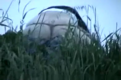 Big ass fucking outdoor