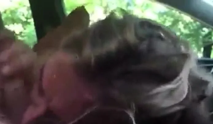 Excited Blonde Blowing In A Car