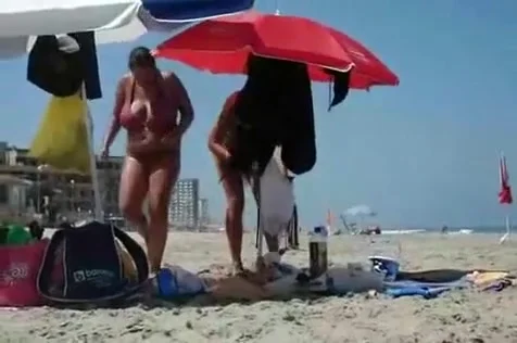 Whale's cleavage caught on a beach