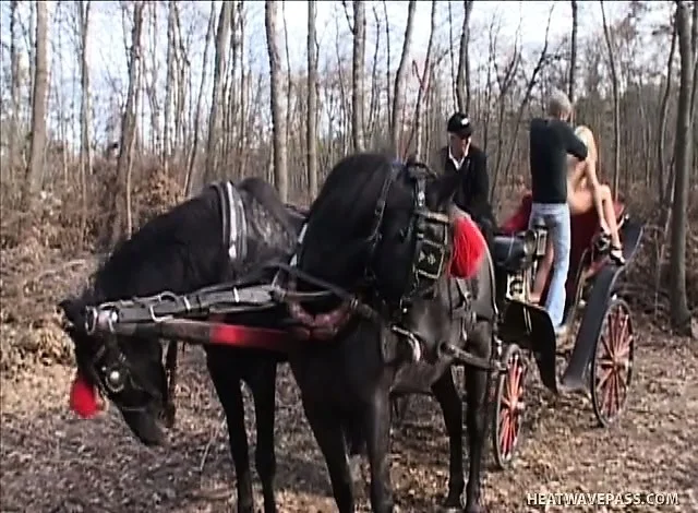 Daissie fucked her man in the carriage while the driver watched