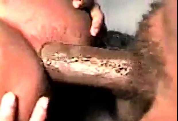 Ebony Homemade Anal
