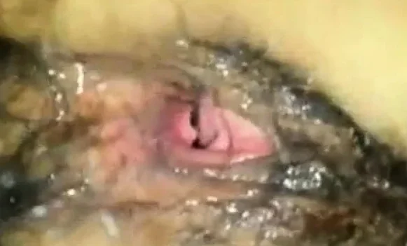 A huge gaping pussy with fisting