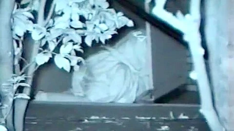 Couple caught outside having sex in clothing at night