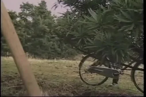 Japanese-sex-meko-639