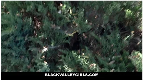 A Rewarding Interracial Cock Ride