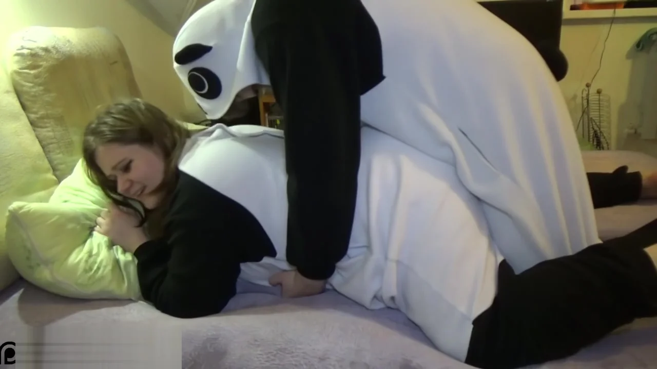 Two cute chubby pandas