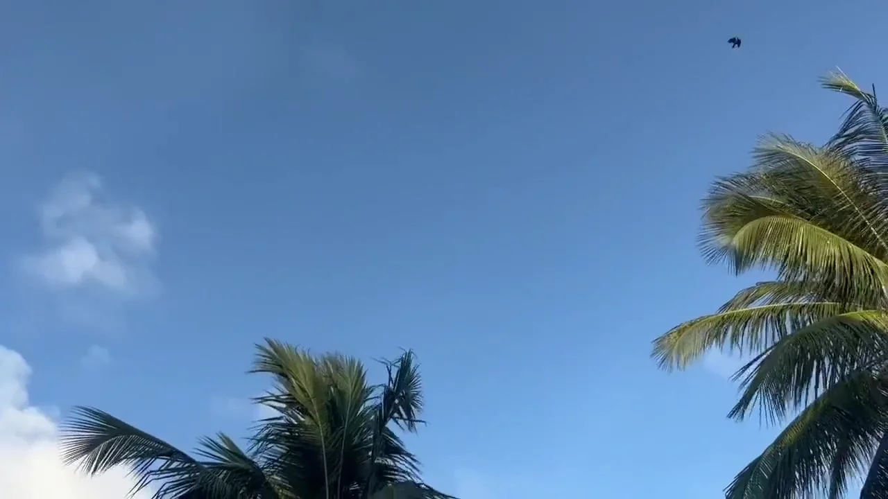 Diaper Girl On The Beach