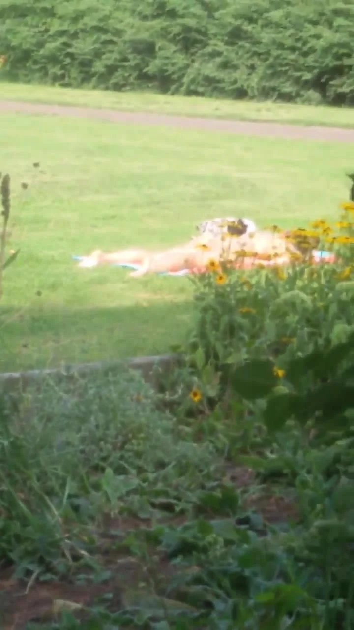 wank on sunbathing teen 18+