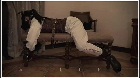 Asian Lesbian Bdsmlezdom Mistress Train And Her New Slave Girl