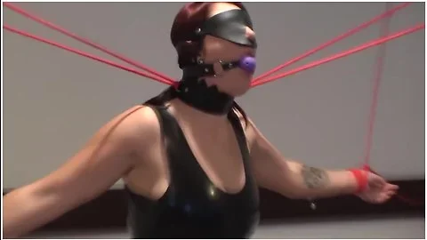 H.k Latex And Vibrations