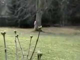 Couple Filmed by Friend Fucking in the Woods
