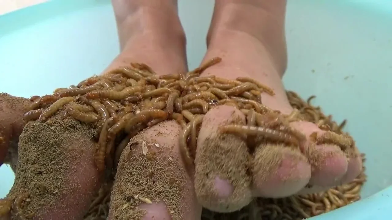 Insects foot tickling