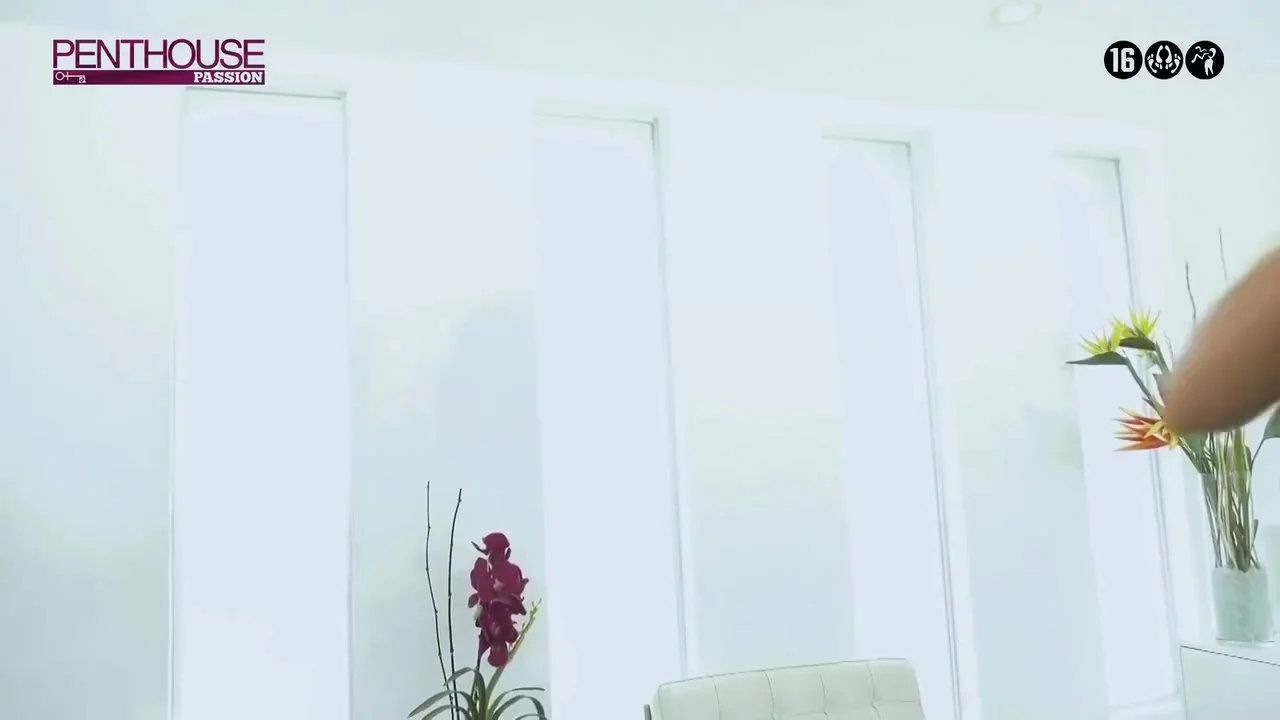 Chanel Grey In In White Chicks Need Black Dick 2