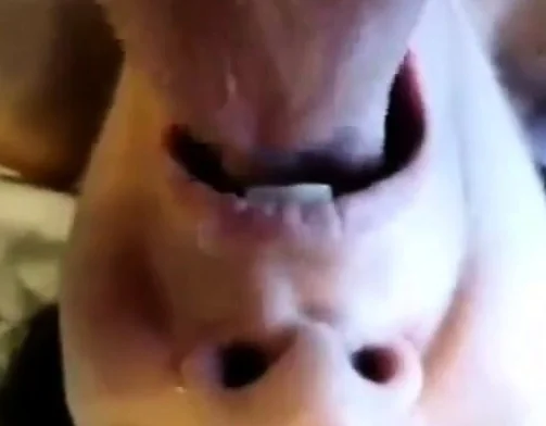Cumming in mouth of my horny mature slut. Amateur