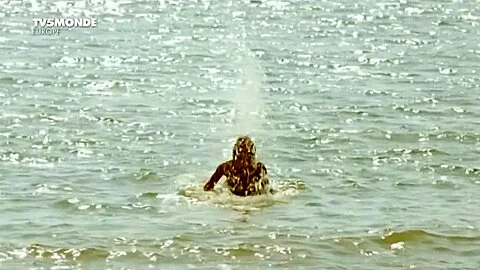 Hotel de la plage S01-02 (2014-2015) Juliet Lemonnier, Margaux Rossi