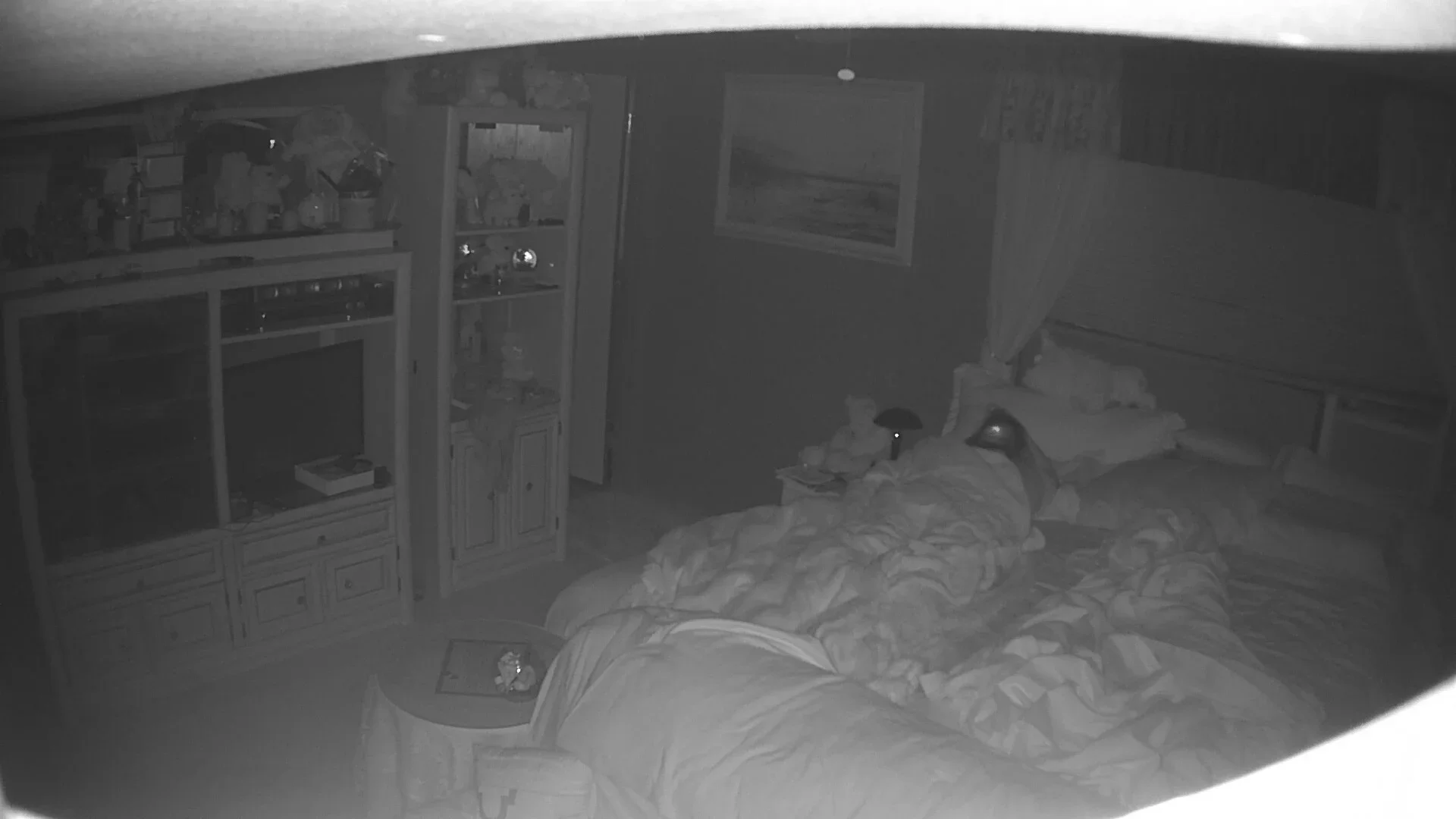 Amateur Wife caught masturbating night vision 1