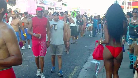 Trinidad and tobago carnival 2015 fantasy 1