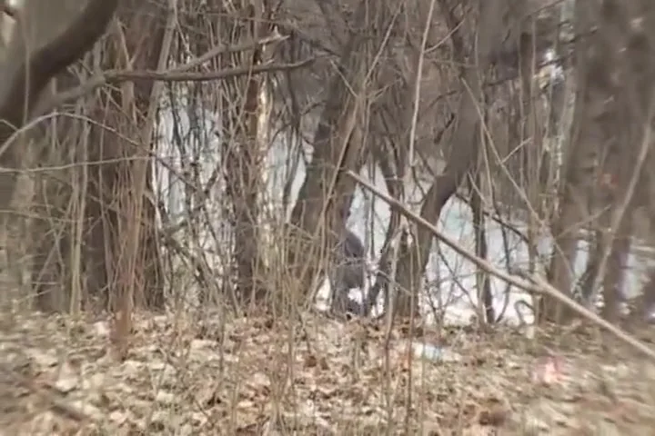 Sexy Street Worker Fucked In The Woods