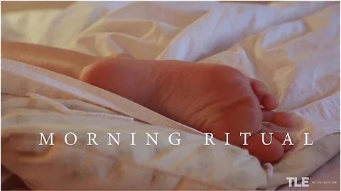 Morning Ritual - Black Fox