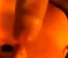 Black widow sucks a lover's dick