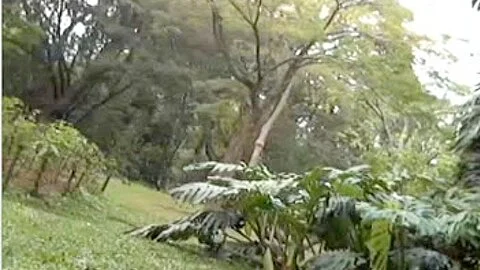 colombian girl in public park