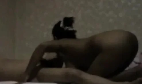 Korean Girl Blowjob