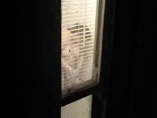 BBW shower