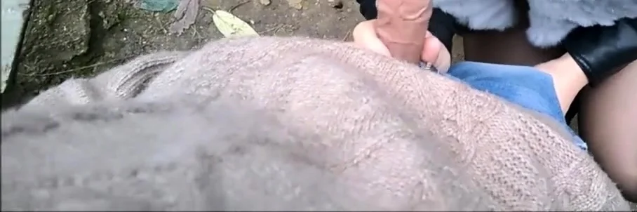 Public Striptease and Blowjob in a city Park