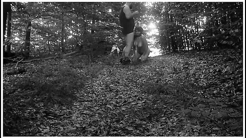 Submissive Slut Taken For A Walk On A Leash In Forest