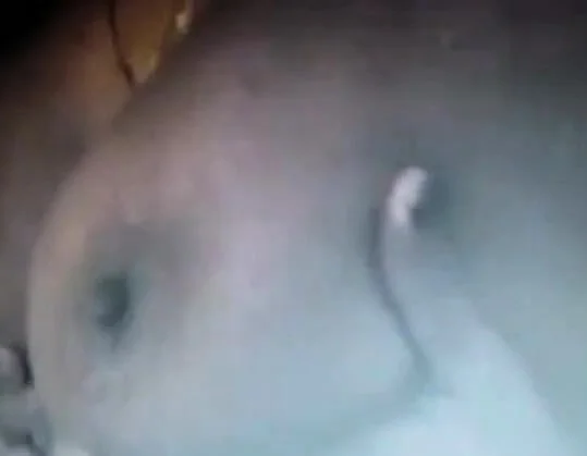 Sri Lankan Tamil Adult Video - Indian, Amateur, Asian