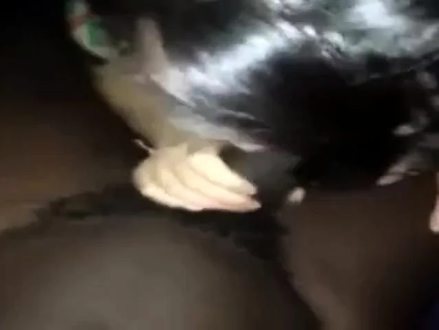 someones asian girl sucking a black guys dick