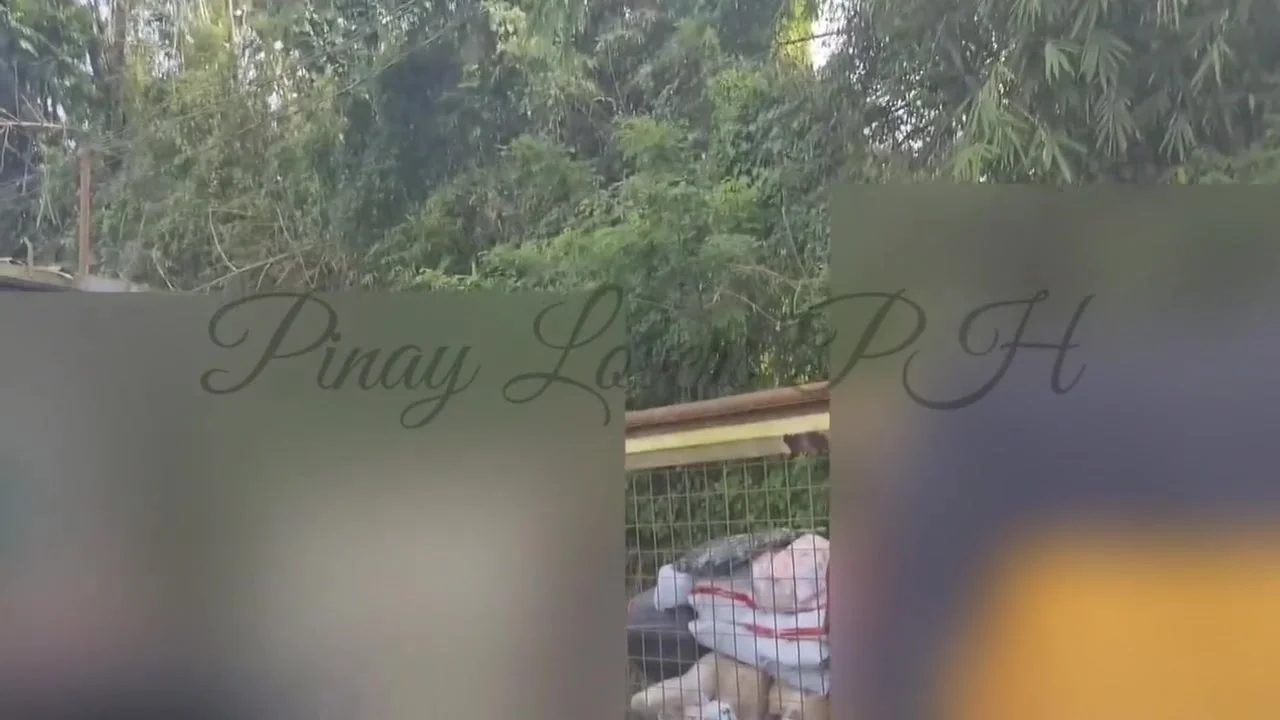 Real Sex With Stranger Public Fucking Near The Road ,all Most Caught Pinay 2022