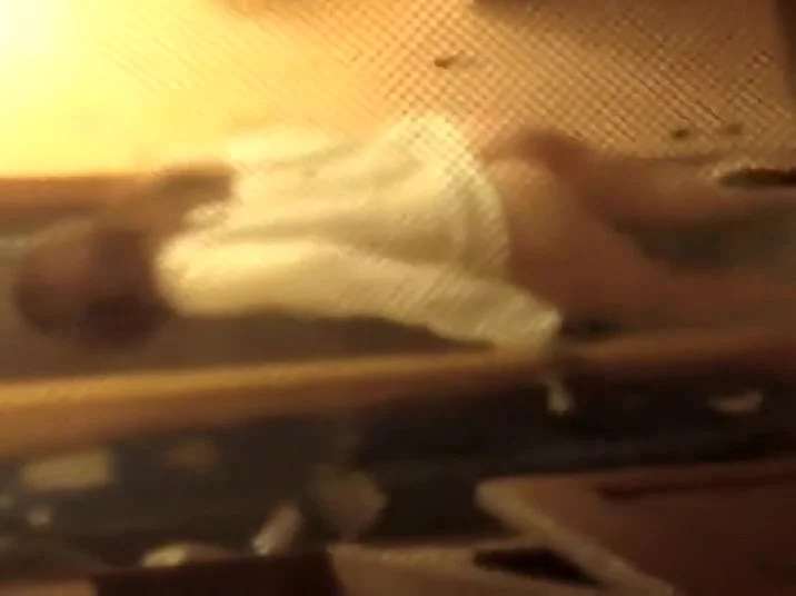 Gentle young ass spied in toilet