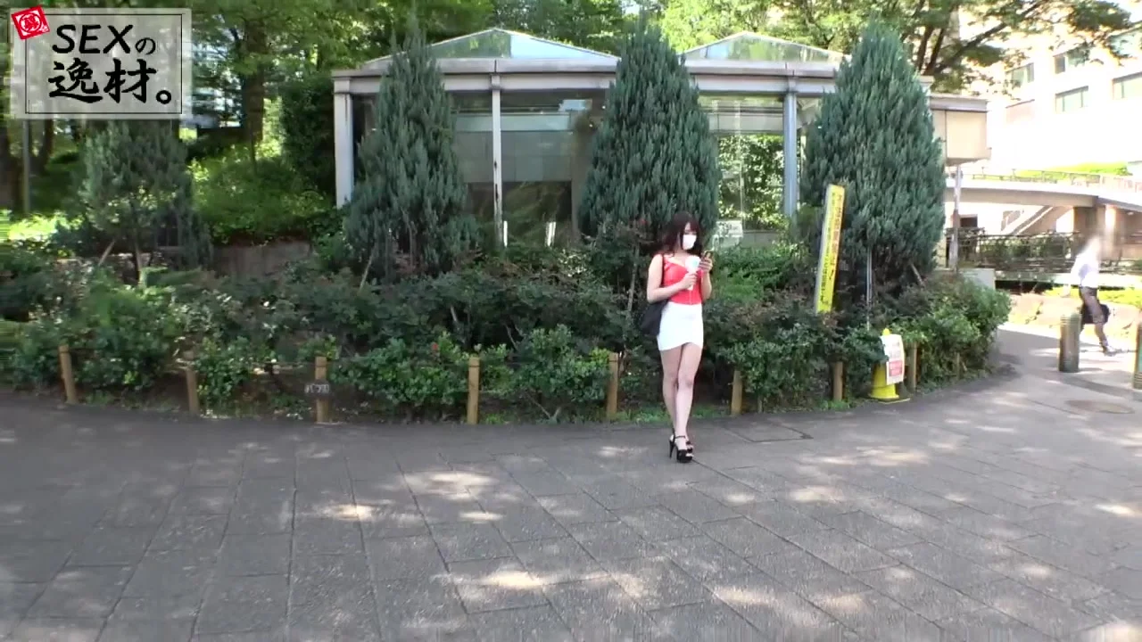261ARA-495 Japanese Amateur