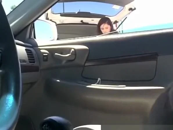Guy flashing his cock inside car