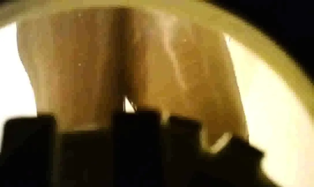 Ebony stepmother spied in shower (big ass)
