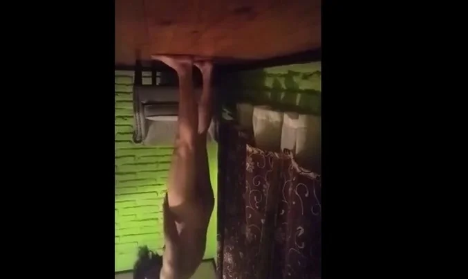 Welcome to my Private Party
