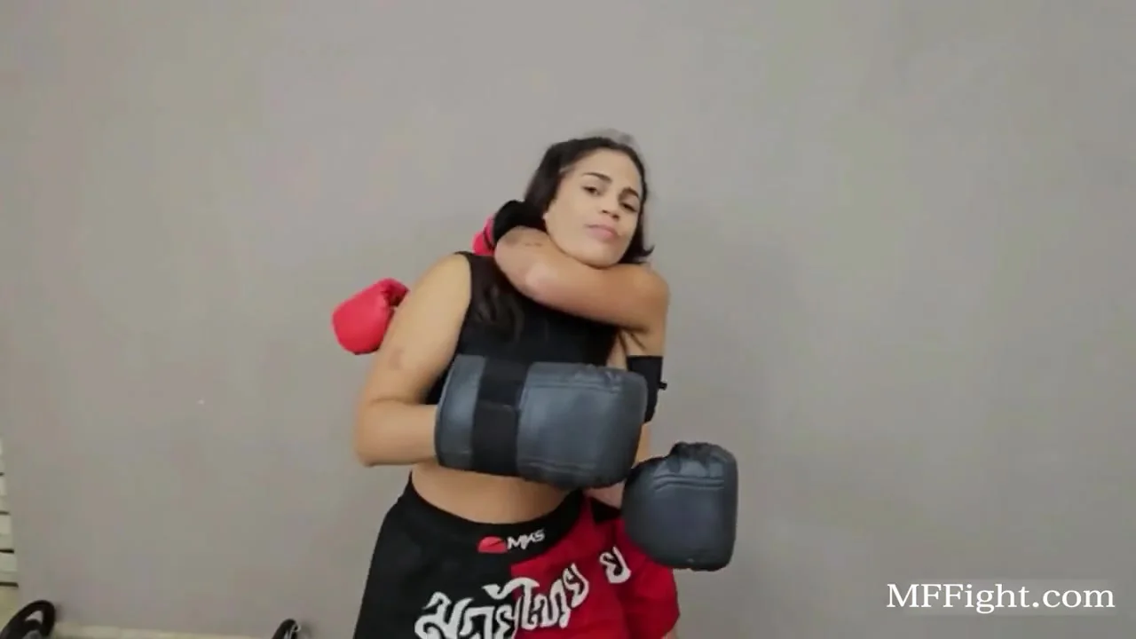 Catfight Compilation