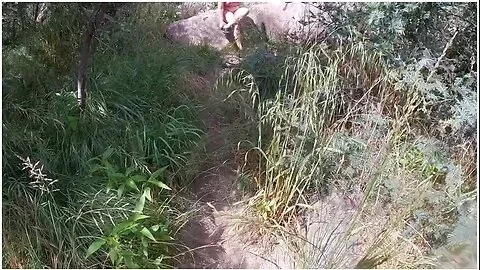 Nude Hiking Fuck In Rocks Blowjob Then Fuck In Trees