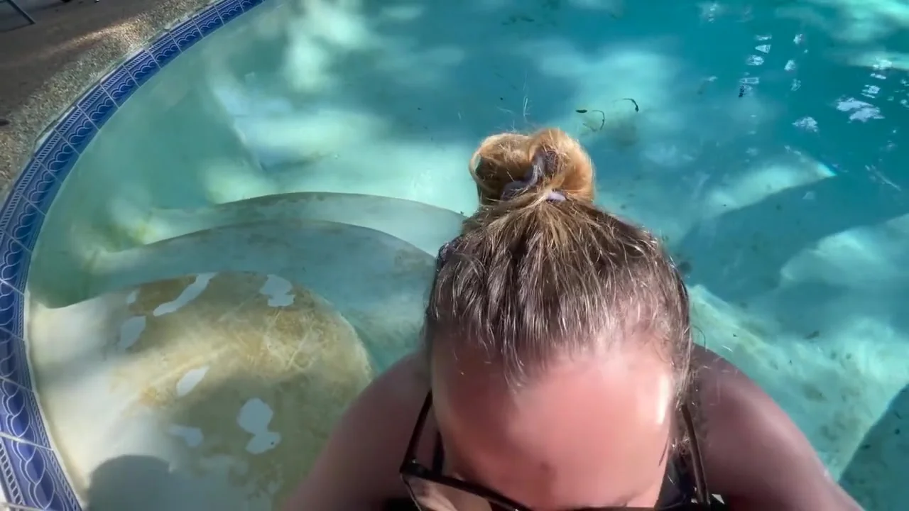 Giving The Neighbors A Show With A Blowjob/fuck In The Pool During The Day