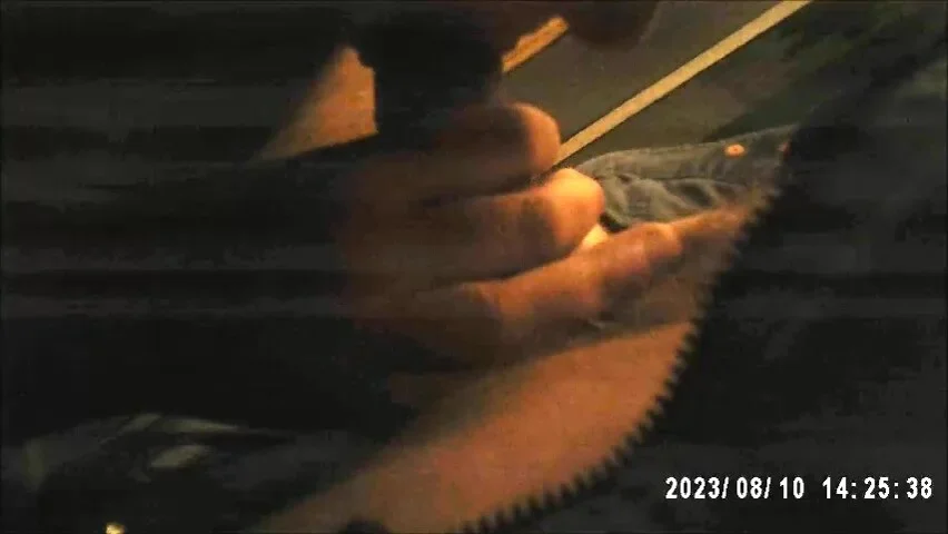 Dutch blowjob spycam