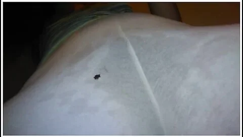 Think Anyone Will Notice Wet Hairy Pussy? ** Free Full Length Video** Content Now Of