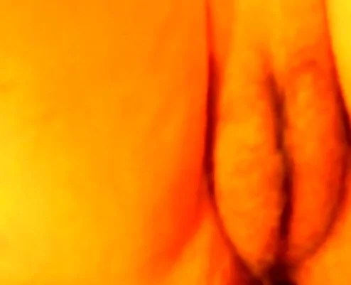 ass fucking and looking at girl's hairy puffy pussy