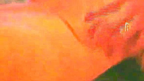 Stephanie Swift Anal from Beautiful Evil